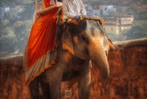 Jaipur: Same Day Amber Fort & Hawa Mahal with Guided Tour