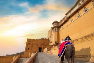 Jaipur: Same Day Amber Fort & Hawa Mahal with Guided Tour
