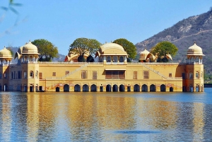 Jaipur: Same Day Amber Fort & Hawa Mahal with Guided Tour