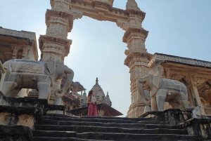 Jaipur: tour de un día por la ciudad rosa con té masala y casco antiguo