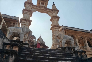 Jaipur: tour de un día por la ciudad rosa con té masala y casco antiguo