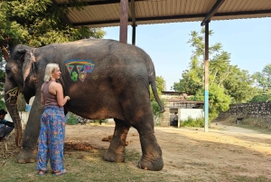Jaipur: tour de un día por la ciudad rosa con té masala y casco antiguo