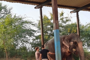 Jaipur: tour de un día por la ciudad rosa con té masala y casco antiguo