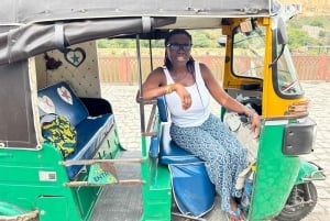 Dżajpur: prywatna wycieczka po mieście z Fortem Amber, studnią schodkową i przewodnikiem