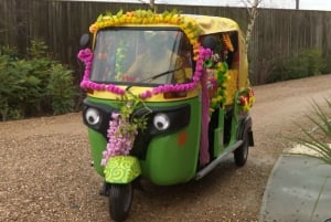 Jaipur: tour panoramico privato di un giorno in tuk tuk