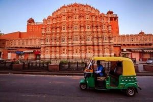 Jaipur: Ganztagestour private Sightseeingtour mit dem Tuk Tuk