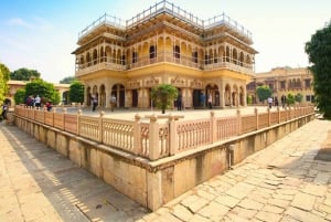 Jaipur: Ganztagestour private Sightseeingtour mit dem Tuk Tuk