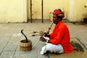 Jaipur Full-Day Private Tour: Discover by Tuk-Tuk