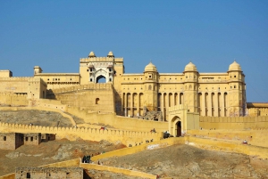 Jaipur Full-Day Private Tour: Discover by Tuk-Tuk