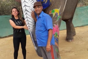 Jaipur Tuk Tuk Ride Or Cab