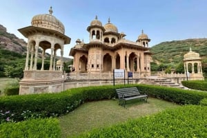 Jaipur : visite guidée d'une jounée ou d'une demi-journée du Fort d'Amber en voiture