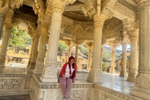 Jaipur: tour privado de día completo en coche con guía