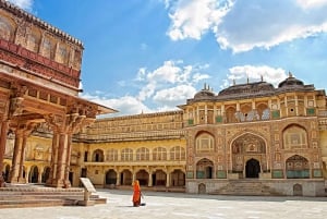 Jaipur: Tour panoramico di un giorno intero con Tuk Tuk e guida governativa. Guida