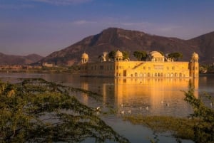 Jaipur: Tour panoramico di un giorno intero con Tuk Tuk e guida governativa. Guida