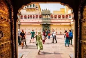 Jaipur: Tour panoramico di un giorno intero con Tuk Tuk e guida governativa. Guida