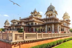 Jaipur: Tour panoramico di un giorno intero con Tuk Tuk e guida governativa. Guida