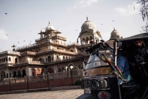 Jaipur: Tour panoramico di un giorno intero con Tuk Tuk e guida governativa. Guida