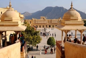 Jaipur: Tour panoramico di un giorno intero con Tuk Tuk e guida governativa. Guida