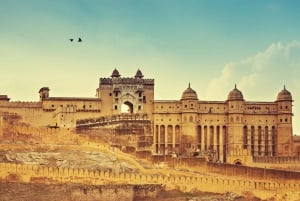 Jaipur: Tour panoramico di un giorno intero con Tuk Tuk e guida governativa. Guida
