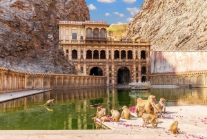 Jaipur : Visite d'une jounée touristique en voiture avec guide de la région