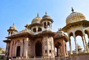 Jaipur : Visite d'une jounée touristique en voiture avec guide de la région