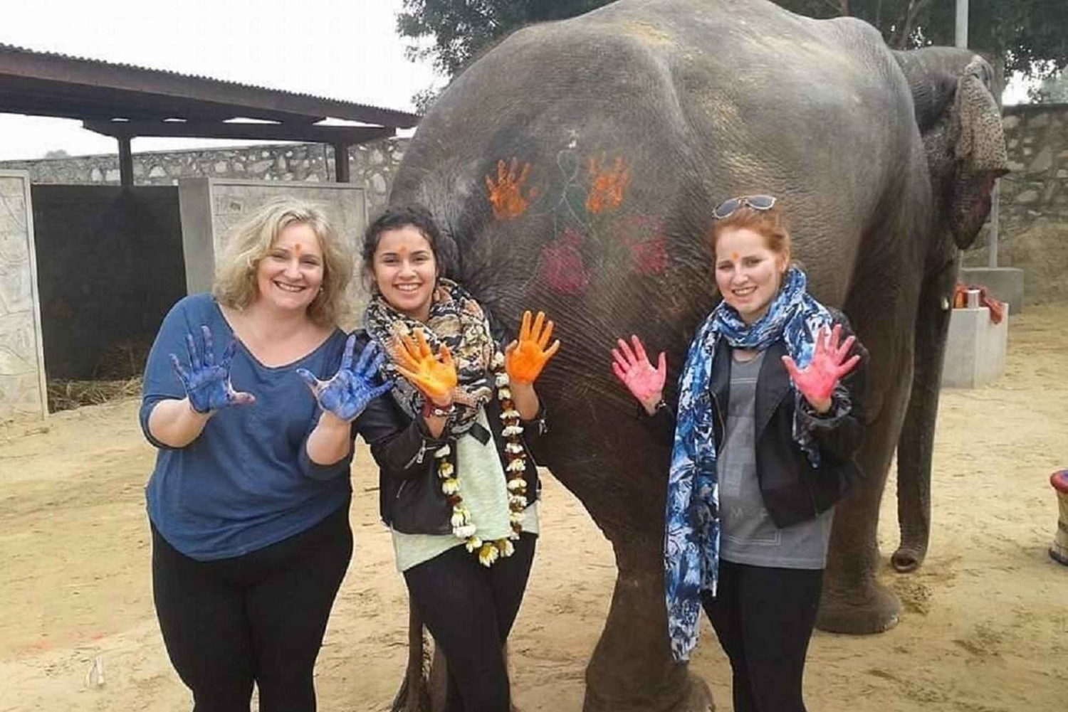 Jaipur: passeio de um dia inteiro com aldeia de elefantes e mercado de flores
