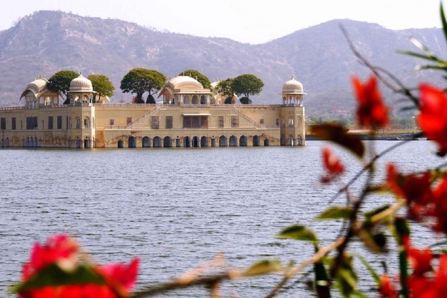 Jaipur: passeio de um dia inteiro com aldeia de elefantes e mercado de flores