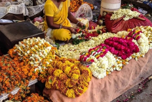 Jaipur: passeio de um dia inteiro com aldeia de elefantes e mercado de flores