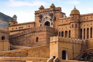 Jaipur: passeio de um dia inteiro com aldeia de elefantes e mercado de flores