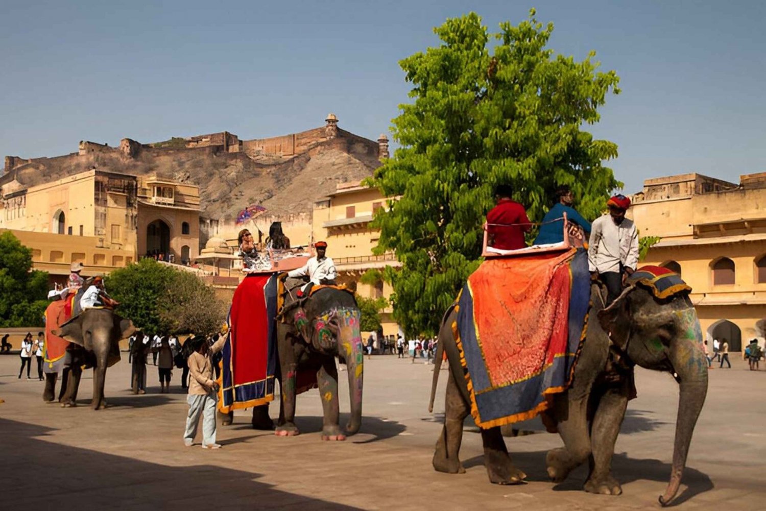 Tour di un giorno di Jaipur con servizio di prelievo e rientro ad Agra o Delhi