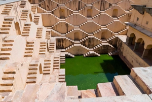 Excursão de 1 dia a Jaipur com traslado de ida e volta em Agra ou Delhi