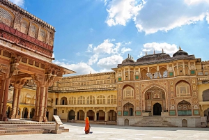 Excursão de 1 dia a Jaipur com traslado de ida e volta em Agra ou Delhi