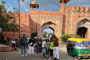 Jaipur: Heldagstur med Tuk-Tuk og sightseeingtur med abetemplet
