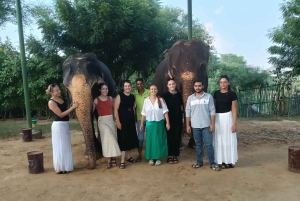 Jaipur: Heldagstur med Tuk-Tuk og sightseeingtur med abetemplet