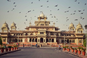 Jaipur: Całodniowa wycieczka tuk tukiem