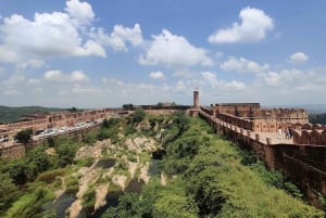 Jaipur: Hel- eller halvdagsutflykt guidad stadsvandring