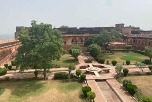 Jaipur: Hel- eller halvdagsutflykt guidad stadsvandring