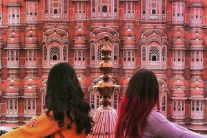 Jaipur: Koko päivän opastettu kaupunkikierros ja vierailu apinatemppelissä