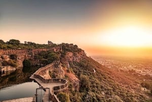 Visite guidée de Jaipur