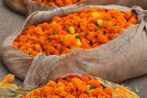 Jaipur: Guidet gåtur med te- og gademadssmagning