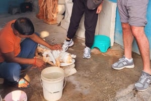 Jaipur: Guidet gåtur med te- og gademadssmagning