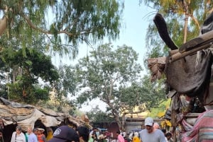 Jaipur: Guidet gåtur med te- og gademadssmagning