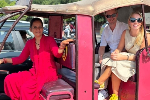 Tour de la ciudad de Jaipur de medio día en E-Rickshaw con Conductora