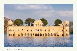 Jaipur: Half Day Tour (Amber Fort, Panna Meena, Jal Mahal)