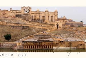 Jaipur: Half Day Tour (Amber Fort, Panna Meena, Jal Mahal)