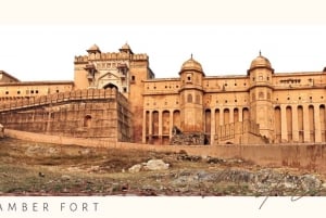 Jaipur: Half Day Tour (Amber Fort, Panna Meena, Jal Mahal)