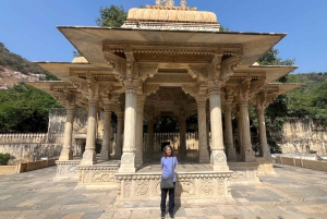 Jaipur: Half Day Tour (Amber Fort, Panna Meena, Jal Mahal)