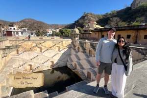 Джайпур: Экскурсия на полдня (Форт Амбер, Панна Мина, Джал Махал)