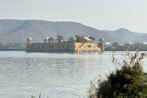 Jaipur Private Half/ Full Day Sightseeing Tour with 5* Lunch