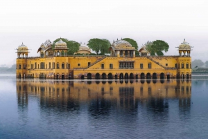 Jaipur: Half-Day Amer Fort, Jal Mahal & Stepwell Tour